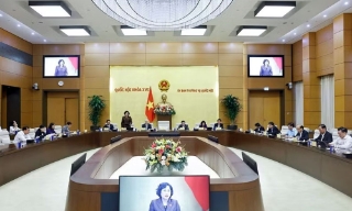 Rà soát kỹ việc giao quy định ngưỡng doanh thu miễn thuế với hộ kinh doanh