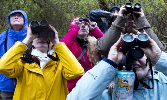 Ngắm chim - liệu pháp 'chữa lành' mới của giới trẻ Mỹ