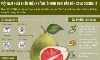 Việt Nam xuất khẩu thành công lô bưởi tươi đầu tiên sang Australia