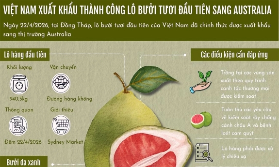 Việt Nam xuất khẩu thành công lô bưởi tươi đầu tiên sang Australia