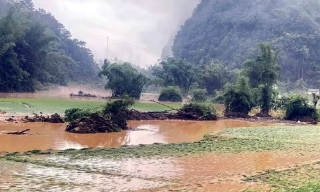Mưa lớn, dông, lốc tại nhiều địa phương gây thiệt hại ước hơn 10 tỷ đồng