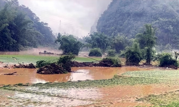 Mưa lớn, dông, lốc tại nhiều địa phương gây thiệt hại ước hơn 10 tỷ đồng