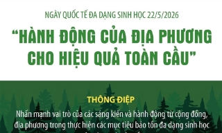 Ngày Quốc tế đa dạng sinh học: Hành động của địa phương cho hiệu quả toàn cầu