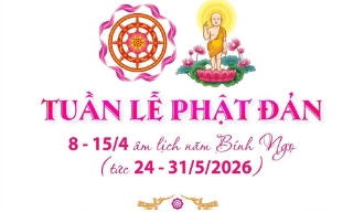 Thông tin về các hoạt động trong tuần lễ Phật đản