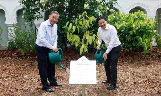 Tổng Bí thư, Chủ tịch nước Tô Lâm trồng cây tại Vườn Bách thảo Singapore