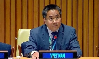 Việt Nam ủng hộ cải tổ HĐBA thông qua tiến trình đàm phán liên chính phủ