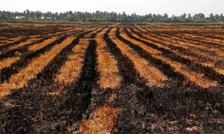 Khả năng El Nino rất mạnh: Việt Nam đối mặt nhiều đợt nắng nóng, bão mạnh