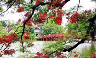 29 luật quan trọng bắt đầu có hiệu lực thi hành kể từ ngày 1/7 sắp tới