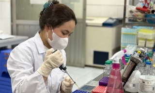Bộ GD-ĐT ban hành quy định về sử dụng AI trong đào tạo, nghiên cứu khoa học