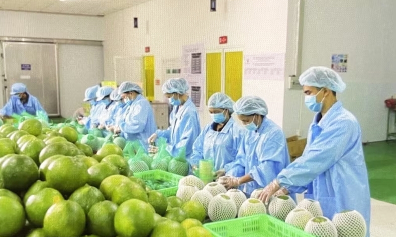  Chỉ số niềm tin kinh doanh của doanh nghiệp châu Âu vào Việt Nam tăng mạnh