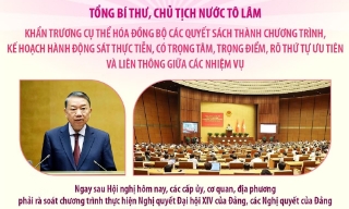 Tổng Bí thư, Chủ tịch nước Tô Lâm: Khẩn trương cụ thể hóa đồng bộ các quyết sách thành chương trình, kế hoạch hành động
