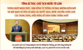 Tổng Bí thư, Chủ tịch nước Tô Lâm: Các quyết sách của Trung ương là một hệ thống liên thông, gắn kết