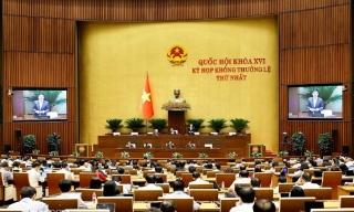 Dồn lực cho nhiệm vụ lập pháp nhằm tháo gỡ vướng mắc, tạo dư địa phát triển