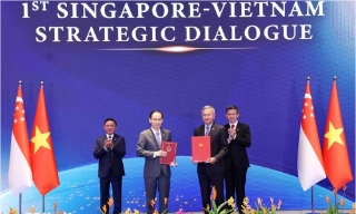 Biến ý chí thành hành động để làm sâu sắc hơn nữa hợp tác toàn diện Việt Nam-Singapore