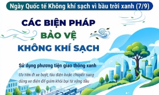 Ngày Quốc tế Không khí sạch vì bầu trời xanh: Biện pháp bảo vệ không khí sạch