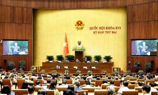 Quốc hội làm việc về nhiều dự án luật, trong đó có Luật Đấu giá tài sản