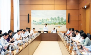 Quốc hội thảo luận sửa đổi một số luật về thuế