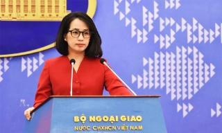 Việt Nam lên tiếng trước tin xuyên tạc về tìm kiếm quân nhân Mỹ mất tích