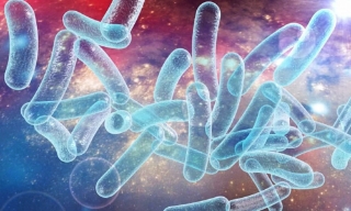 Hàng chục người mắc viêm phổi Legionnaires, 3 ca tử vong