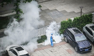 Dịch Chikungunya bùng phát tại Trung Quốc