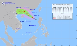 Từ Quảng Ninh đến Đắk Lắk chủ động ứng phó với bão số 7
