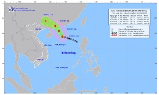 Bão số 7 không đổ bộ vào nước ta nhưng miền bắc sẽ có mưa lớn
