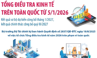 Tổng điều tra kinh tế trên toàn quốc từ 5/1/2026