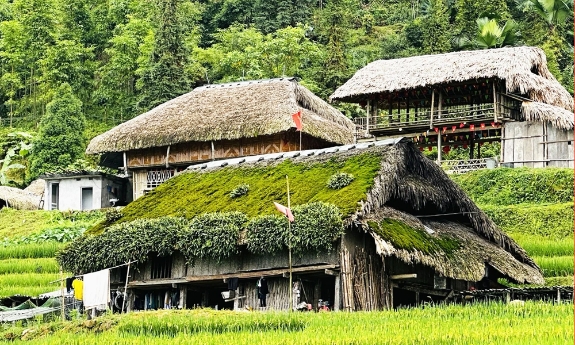 Giữ hồn mái nhà rêu dưới chân Tây Côn Lĩnh