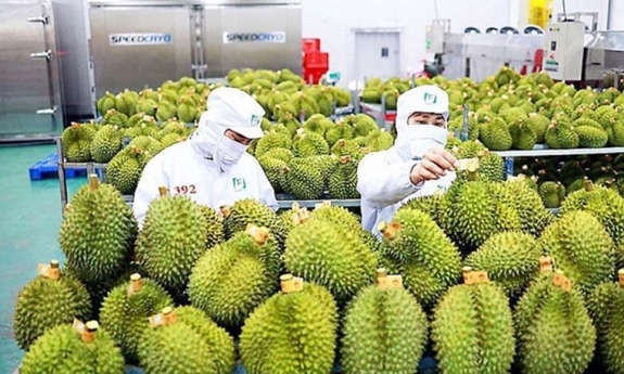 Chỉ 1 tháng, Việt Nam xuất khẩu trái cây và rau quả đạt gần 1,3 tỷ USD