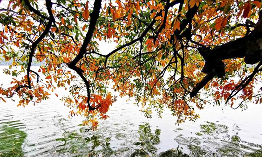  “Chạm Thu Hà Nội” mở ra hành trình khám phá vẻ đẹp Thủ đô khác biệt