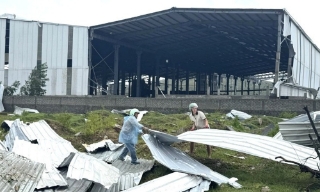 Thiệt hại nặng nề do bão số 10 gây ra tại nhiều địa phương