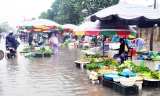 Bộ Y tế: Người dân vùng bão lũ tuyệt đối không sử dụng gia súc, gia cầm chết chế biến thực phẩm
