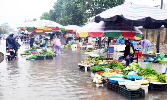 Bộ Y tế: Người dân vùng bão lũ tuyệt đối không sử dụng gia súc, gia cầm chết chế biến thực phẩm
