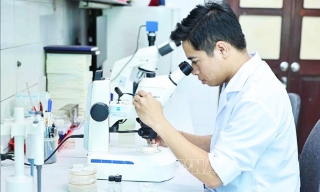 Chính sách ưu đãi đối với nhà khoa học và kỹ sư trẻ tài năng