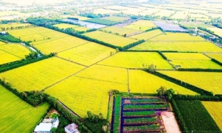 “Chìa khóa” của nông nghiệp phát thải thấp