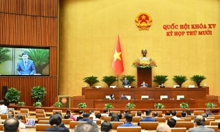 Xây dựng, hoàn thiện thủ tục phục hồi là thủ tục độc lập được thực hiện trước thủ tục phá sản