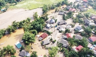 Hơn 100.000 m3 cát vàng trôi vào làng sau lũ, dự kiến đấu giá nộp ngân sách nhà nước