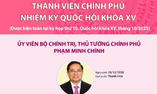 Thành viên Chính phủ nhiệm kỳ Quốc hội khóa XV