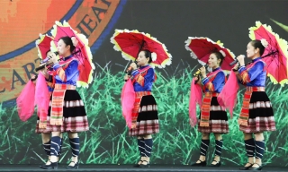 Nhiều chương trình biểu diễn nghệ thuật đặc sắc tại Hội chợ Mùa Thu lần thứ nhất - 2025