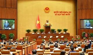 Hỗ trợ khai thác thương mại các đối tượng quyền sở hữu trí tuệ
