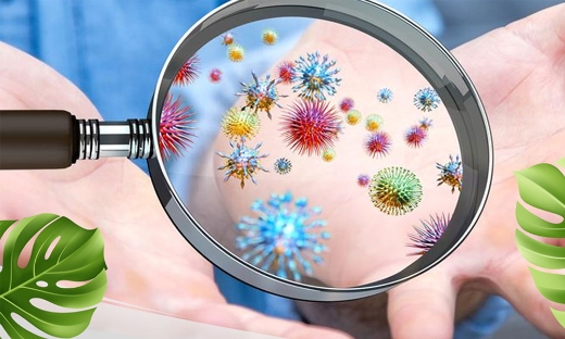 Miếng dán virus tiêu diệt 99.9% vi khuẩn trong thực phẩm