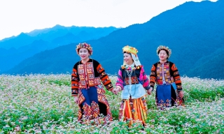 Lễ hội Hoa tam giác mạch 2025: Lan tỏa sức sống “Miền đá nở hoa”