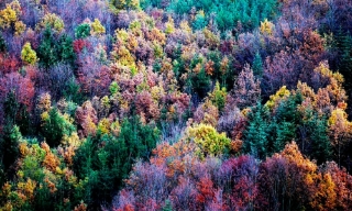 Liên minh châu Âu đạt thỏa thuận về mục tiêu khí hậu mới trước thềm COP30