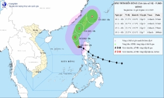 Tập trung ứng phó bão số 14 trên Biển Đông