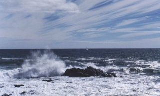 Áp thấp nhiệt đới có khả năng mạnh lên thành bão