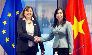 Liên minh châu Âu hỗ trợ Việt Nam 850.000 euro để khắc phục hậu quả lũ lụt