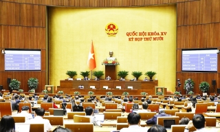 Nghị quyết Kỳ họp thứ 10, Quốc hội khóa XV