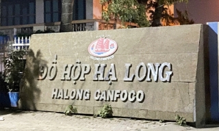 Khởi tố 9 bị can trong vụ đưa hơn 120 tấn thịt lợn nhiễm bệnh vào Công ty cổ phần Đồ hộp Hạ Long