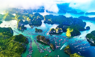 “Việt Nam hoang dã” qua ống kính truyền hình Bỉ: Thiên nhiên hồi sinh kỳ diệu