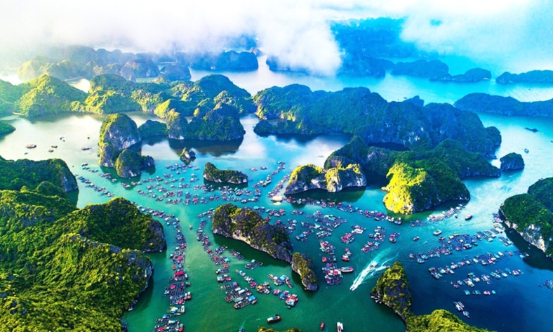  “Việt Nam hoang dã” qua ống kính truyền hình Bỉ: Thiên nhiên hồi sinh kỳ diệu